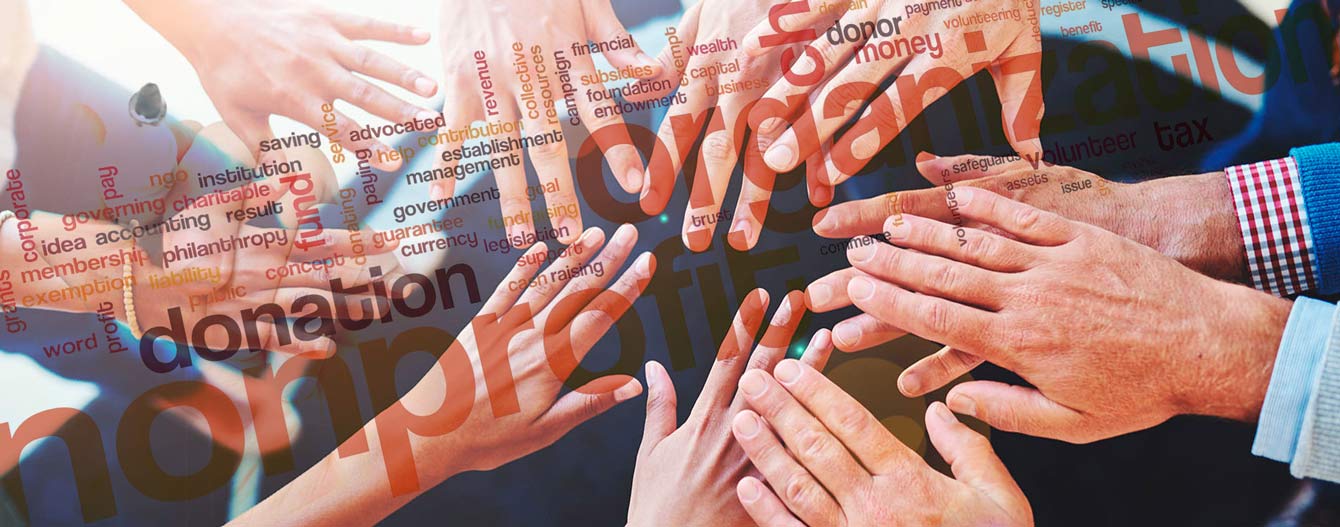 diverse nonprofit organizations